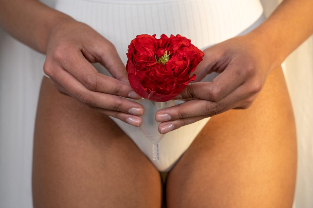 red rose