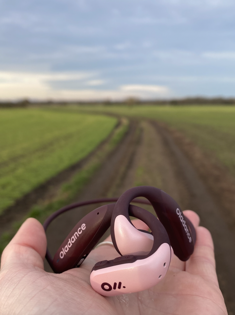 oladance headphones