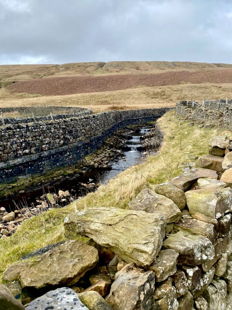 Whernside Circular Walk