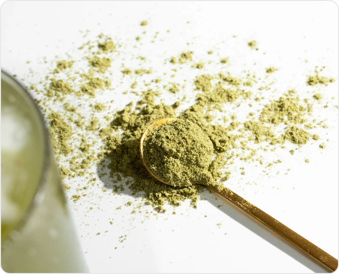 Mango Free Soul Greens Powder